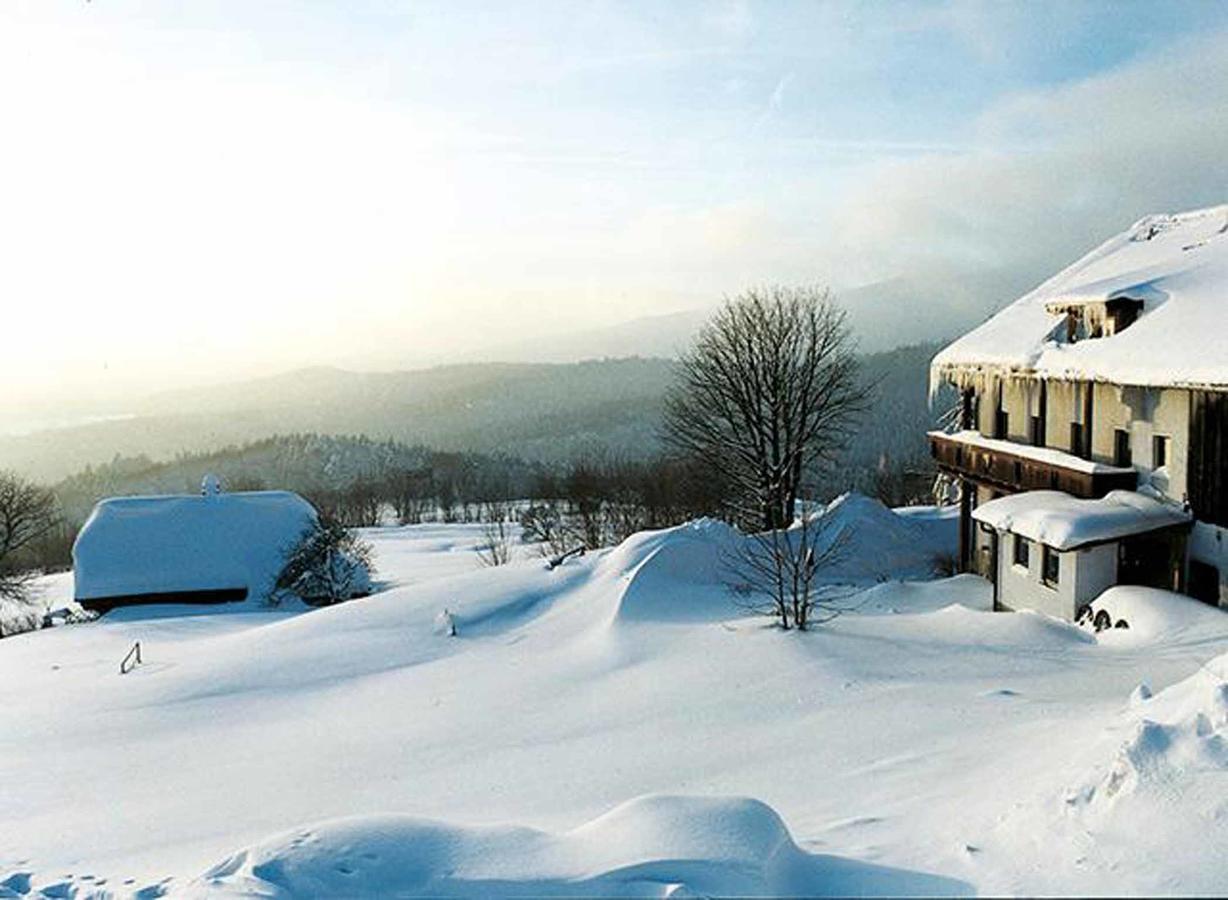Pension Draxlerhof 뉴쇼나우 외부 사진