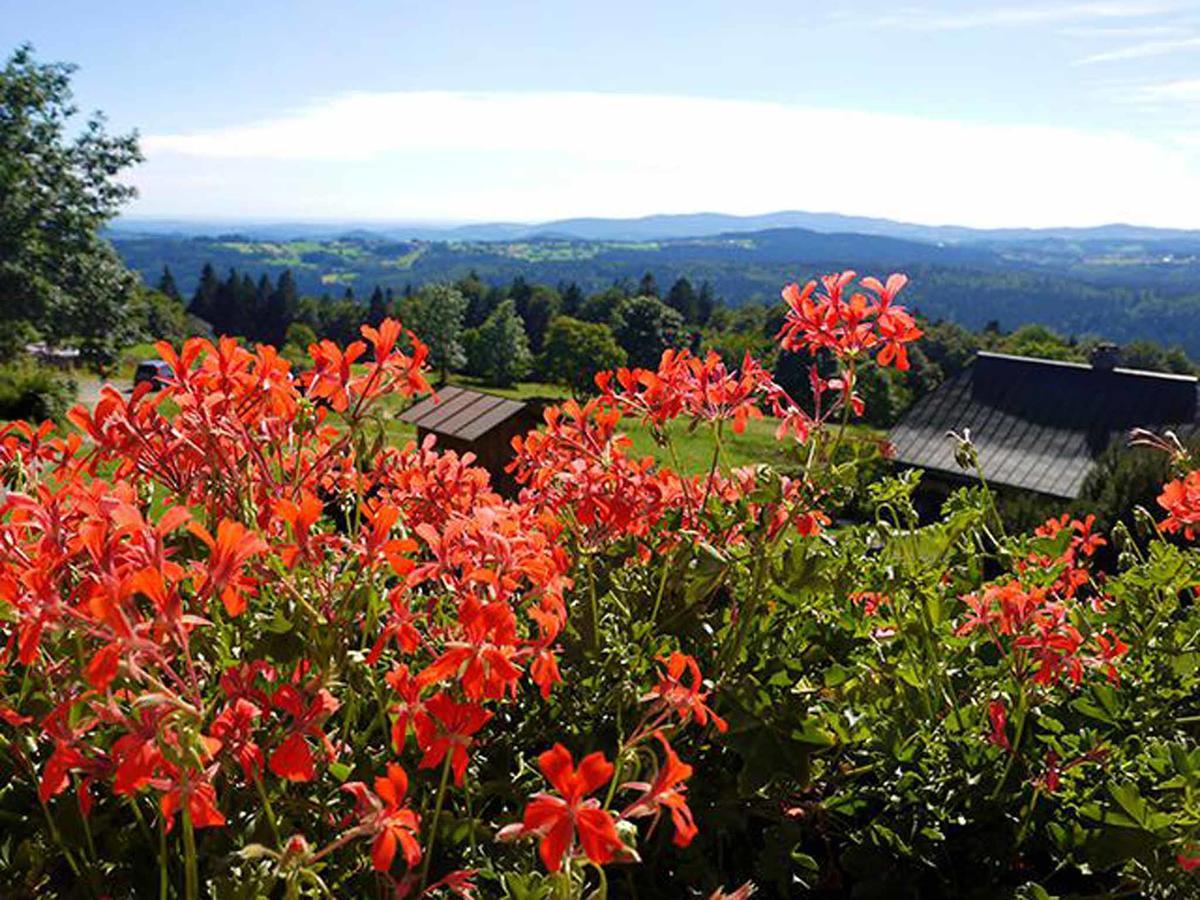 Pension Draxlerhof 뉴쇼나우 외부 사진