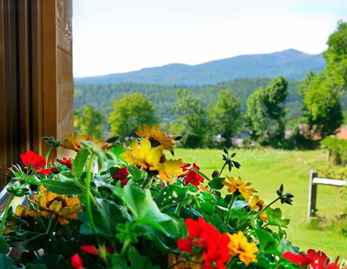 Pension Draxlerhof 뉴쇼나우 외부 사진